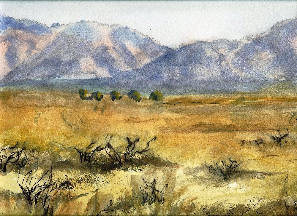 Arizona Desert View (II)-Watercolor on paper-16h x 20w in